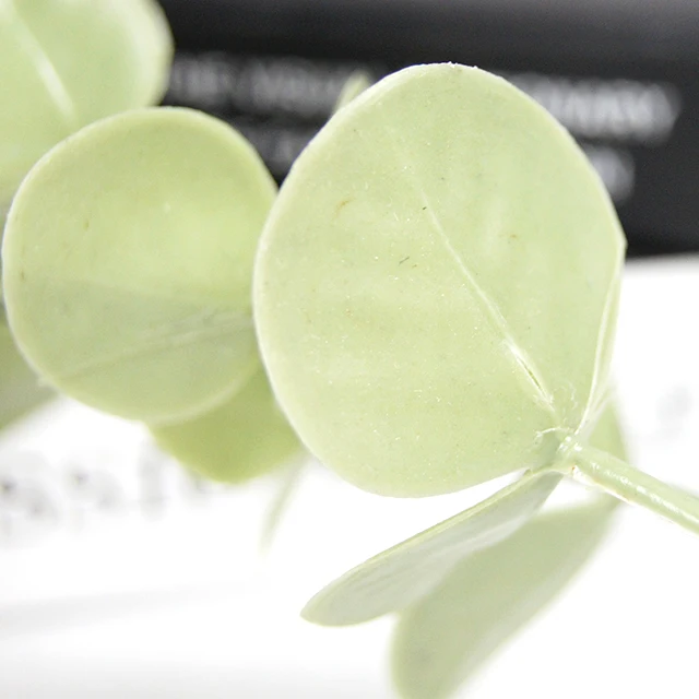 factory supply Natural dried flower Eucalyptus leaves Home decoration DIY low price amazon hot sale preserved flower