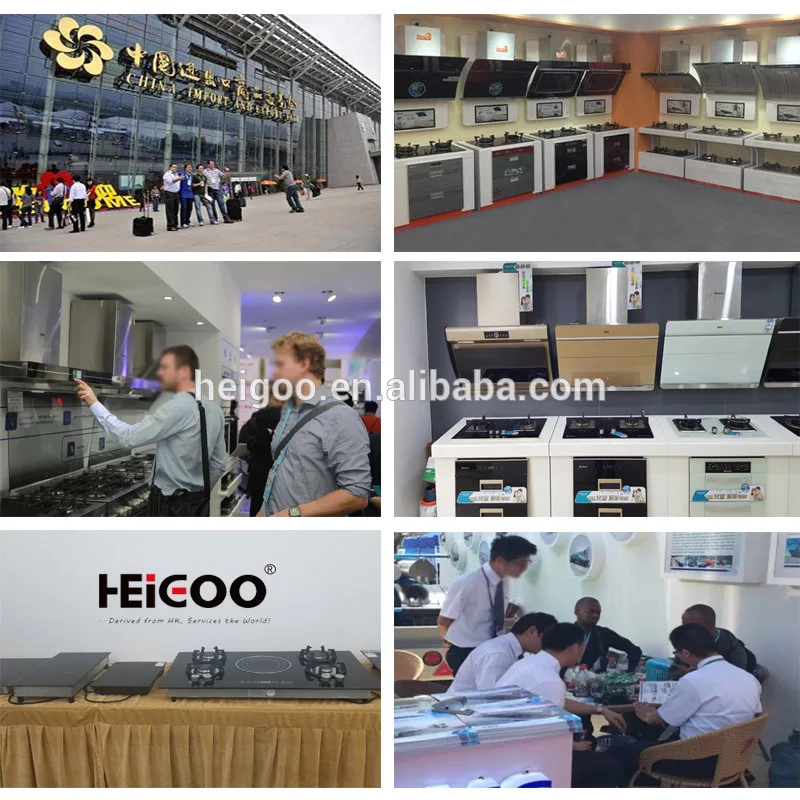 multi induction cooker