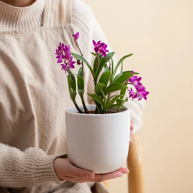 Easy Mounting Wall Planter Elegant Design Wall Decoration for Indoors Balcony and Garden Ceramic Hanging Plant Pots