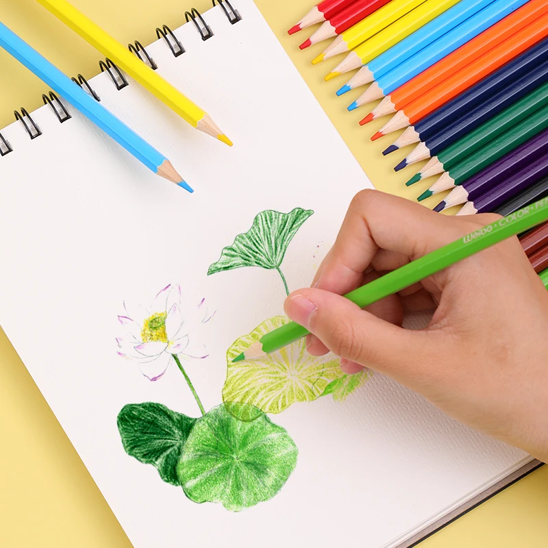 Weibo 12 Colors Cute Professional Drawing Pencils Set Oily Wood Color Pencils Artist Graffiti School