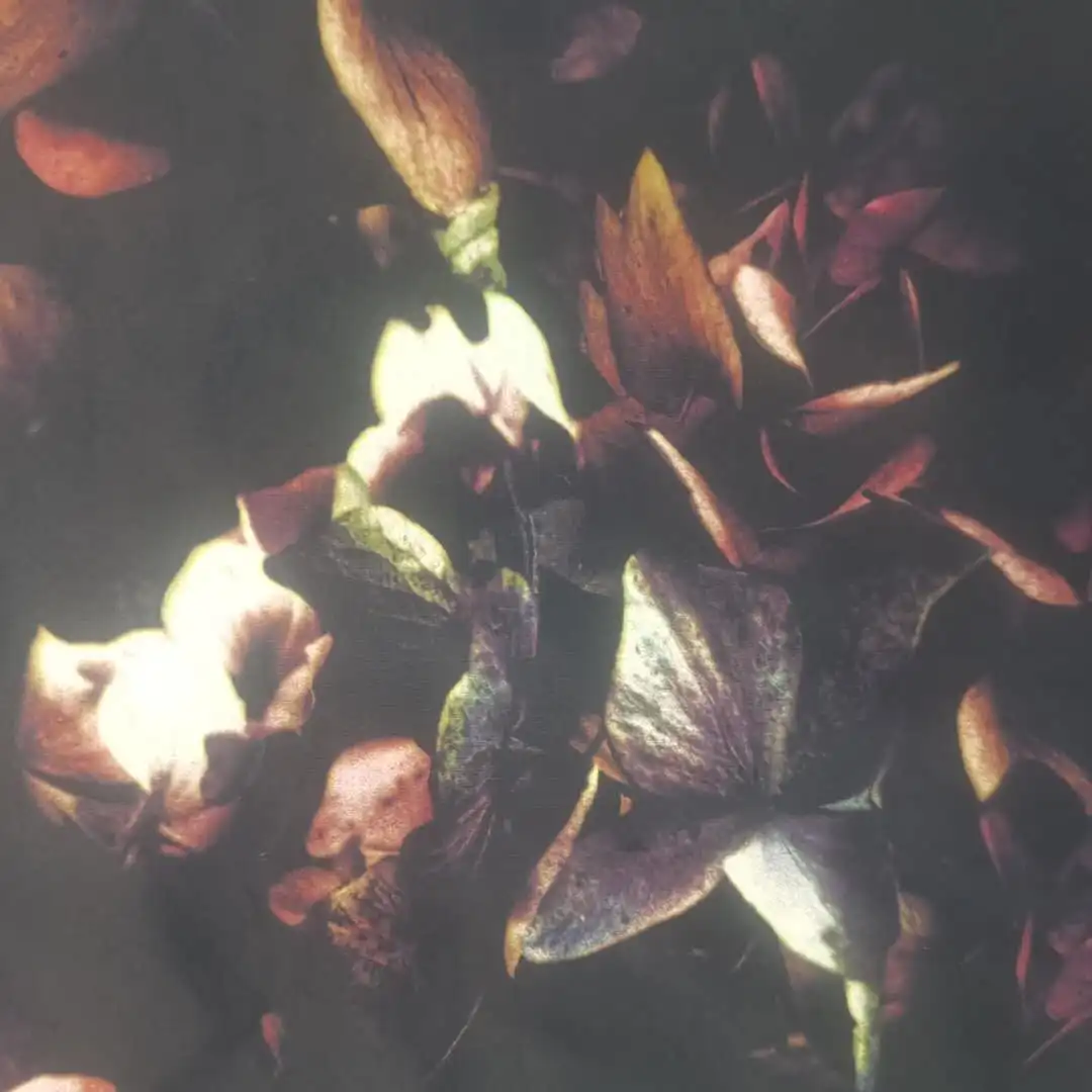 
Hot popular and digital printing nylon 20d 380t full dull with soft handfeeling for sportswear 