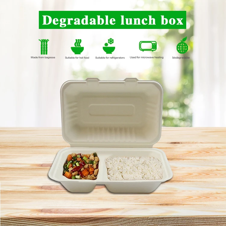 Packaging Takeaway Sugarcane Bagasse Disposable Food Containers Biodegradable Lunch Box