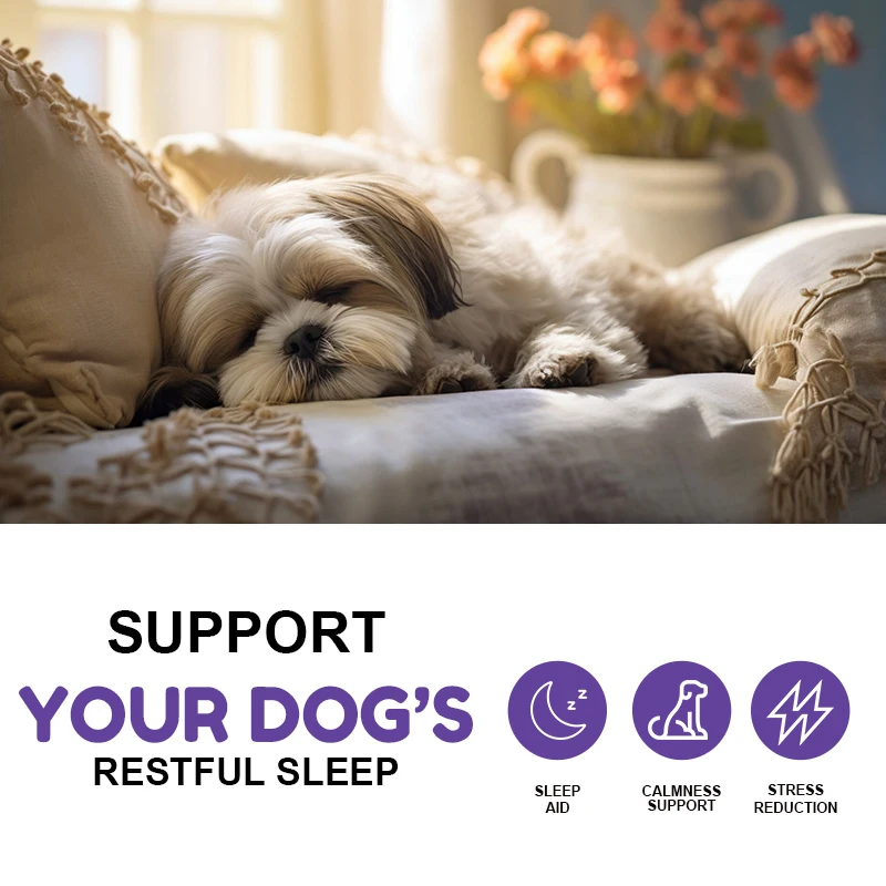 Oem Nighttime Calm High Safety Dog Calming Aid Melatonin Soft Chews Dog Treats