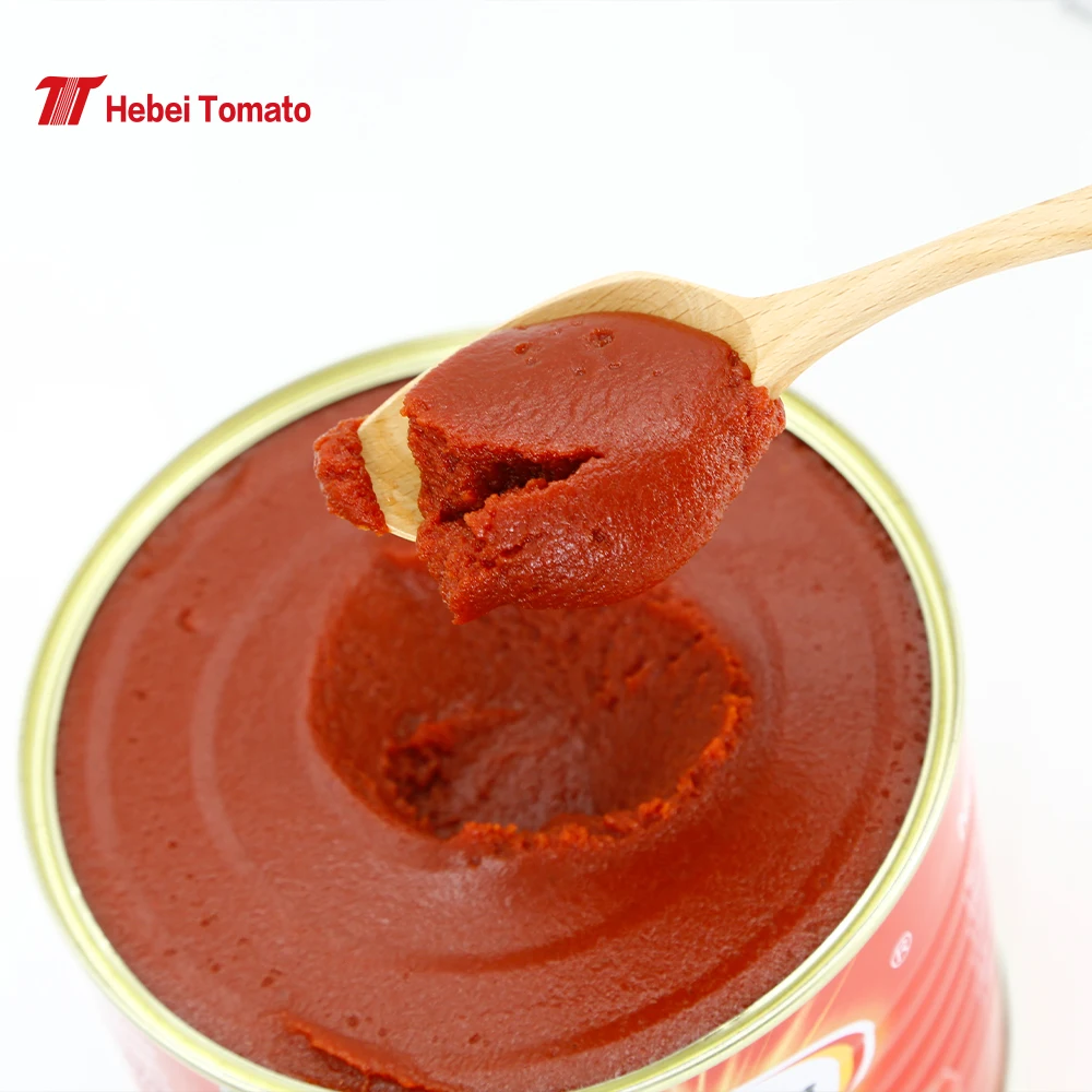 Certified Organic Tomato Paste Manufacturer Without Additive