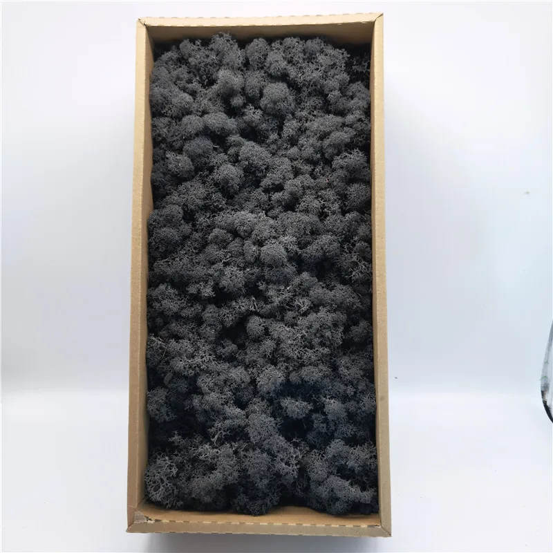 Preserved Immortal Moss For Fairy Gardens Terrariums Any Craft Gardens Terrariums Craft Floral Project Wedding Arts