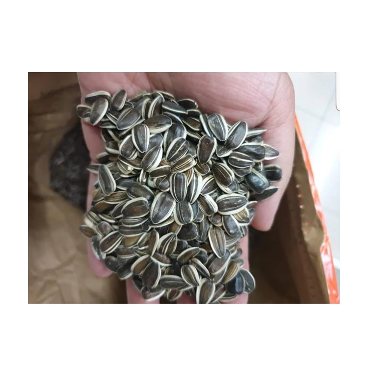 Good Quality 20/64 Dakota Striped Sunflower Seeds Wholesale 2021 Bulgarian Origin Natural Packaging Raw Top Grade