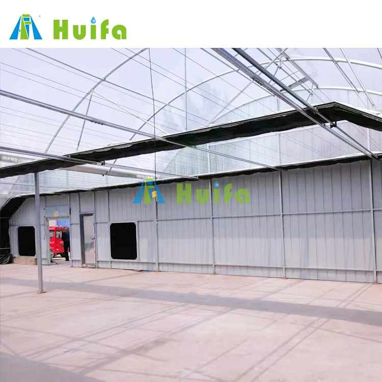 USA Market Single Tunnel Black White Film Light Deprivation Greenhouse Large Tunnel Greenhouse Huifa