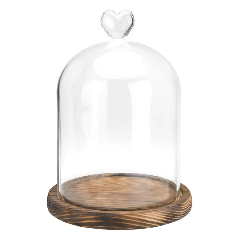 Clear Glass Cloche Bell Jar Cloche Bell Jar Display Dome Case with Wooden Base for flowers