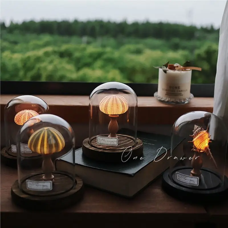 Ocean island retro shell sea urchin conch lamp night light ornaments handmade DIY material package desktop ornaments