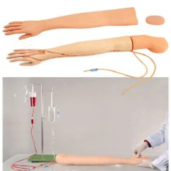 ADA-HS3 Full-function venipuncture arm model