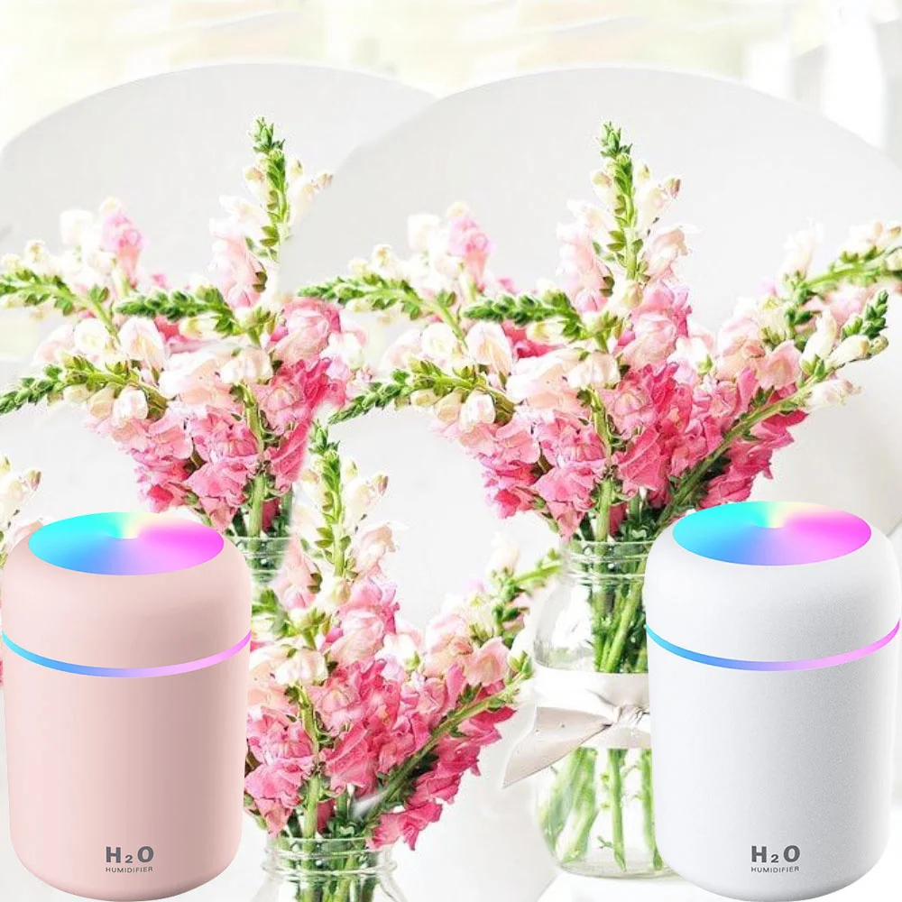 One Head Ultrasonic Mist Maker Mini Ultrasonic Cold Fog Generator