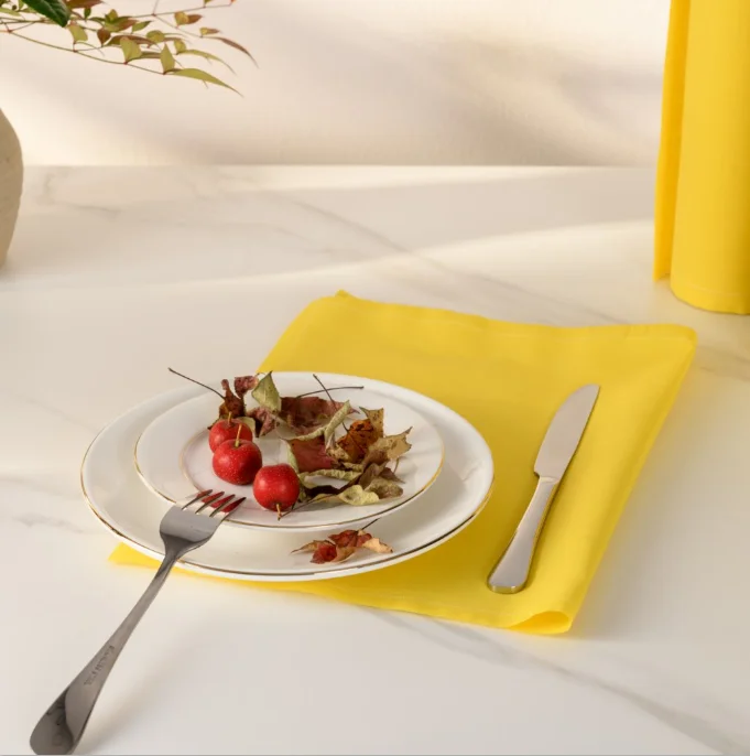 Table Cloth and Napkin Set and Coaster Unconventional New Patent Tear Off Napkin