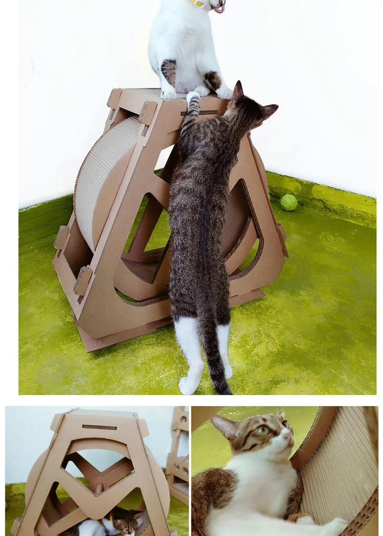 Sohpety Indoor Climbing Water Wheel Shape Scratcher Cardboard Treadmill Loaders Cats Exercise Running Wheel