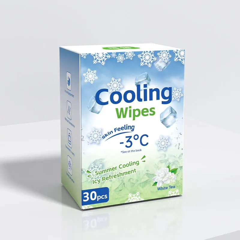 OEM ODM Body Cleaning Wet Wipes Skin Care Wipes Ice Cool Wipes for Adults