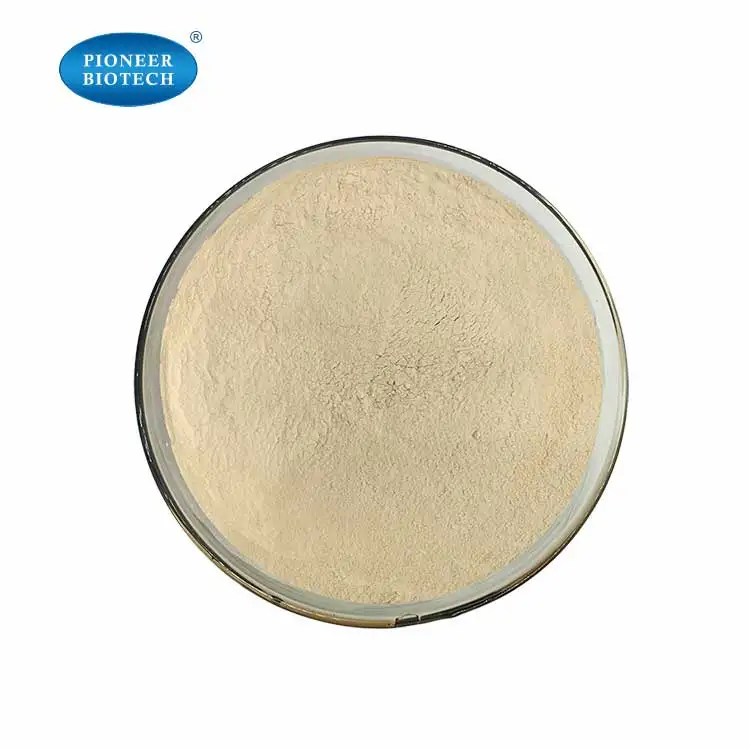Lowest price Wheat protein powder 80% KOSHER HALAL ISO manufacturer