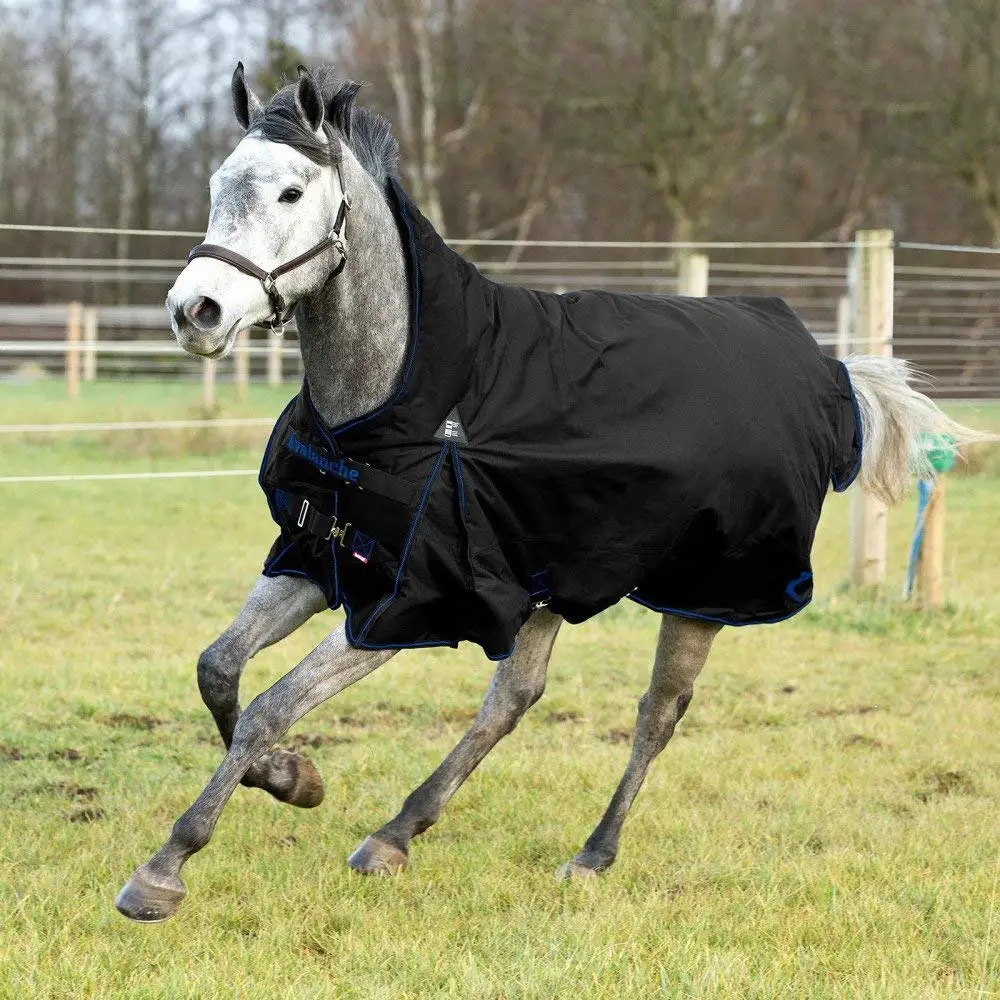 Custom Horse bucket fly rug deep navy blue color