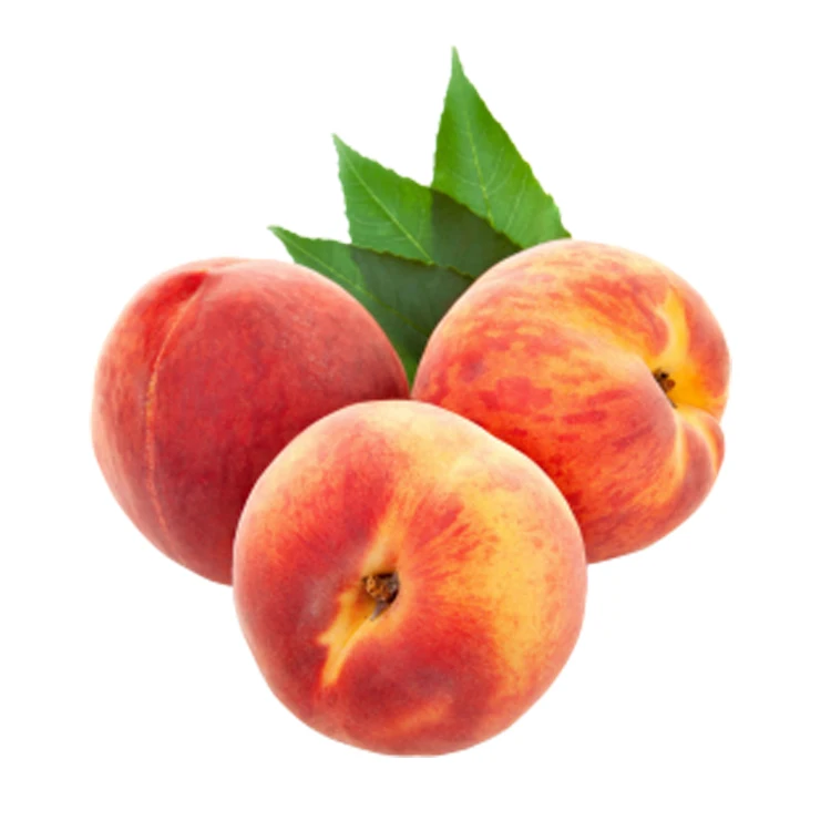
Wholesale Price High Premium Quality Fresh Fruit Sweet Peach 