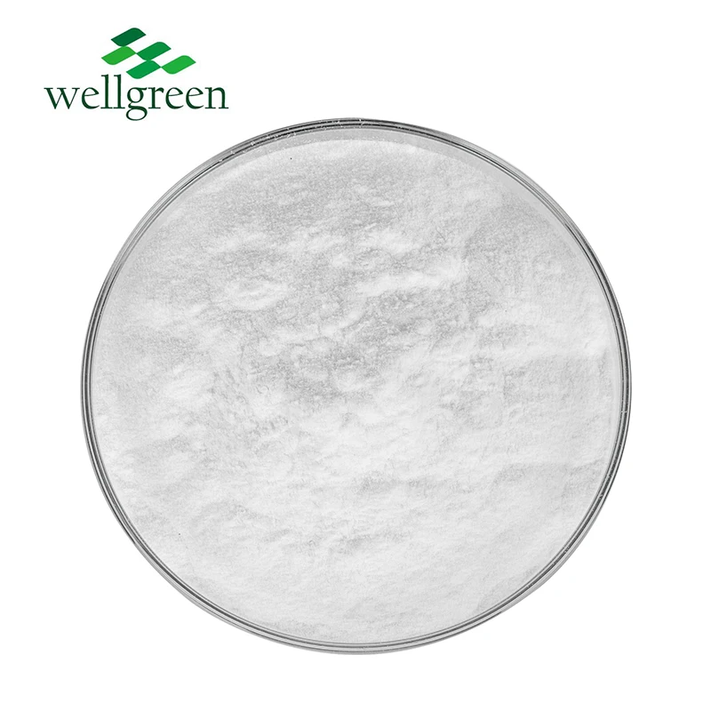 Wellgreen High Quality China Factory Supply Bulk Citrate De Zinc Citrate Price Food Grade 546-46-3 Zinc Citrate Powder