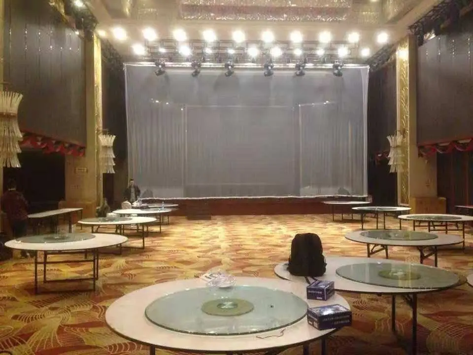 Competitive Price Rear Projection Transparent Screen Holographic Veil Screen