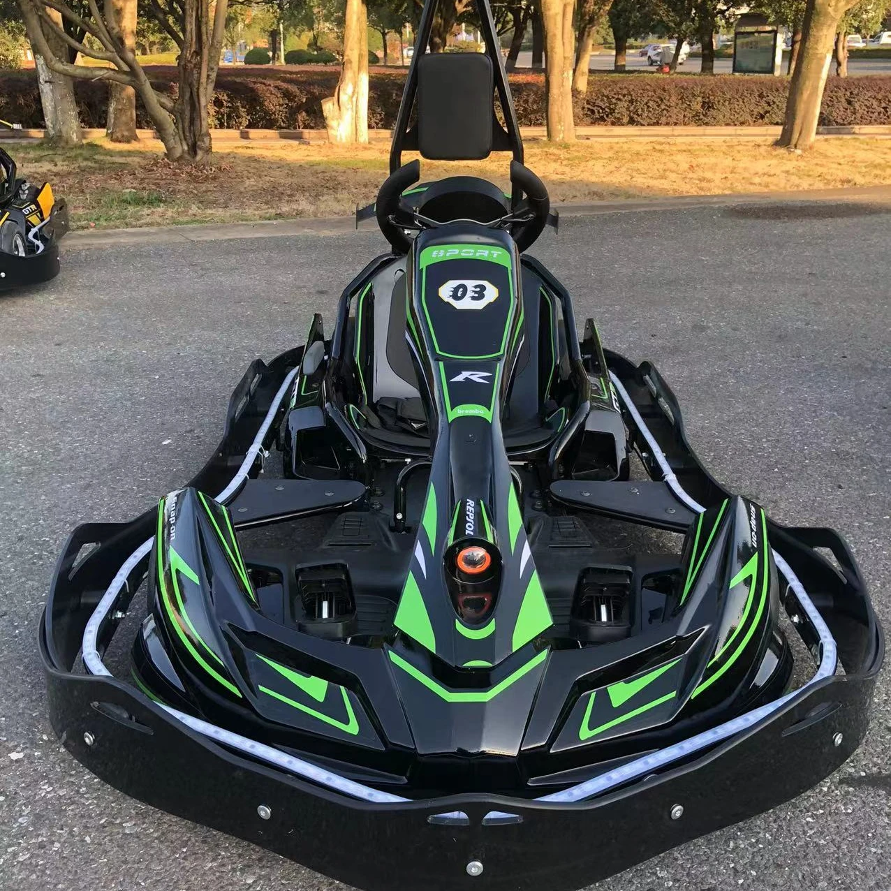 China factory outdoor sports playground Remote Control Rapid Charge Electric Go Karts with great design