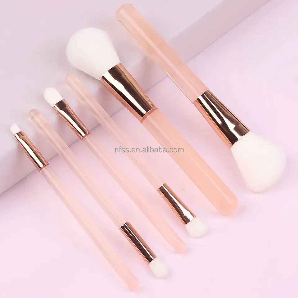 New Low Moq Custom Beginners Make-Up Brushes Kit Carry On Pink Purple Cosmetic Synthetic Hair 6Pcs Makeup Brush Set