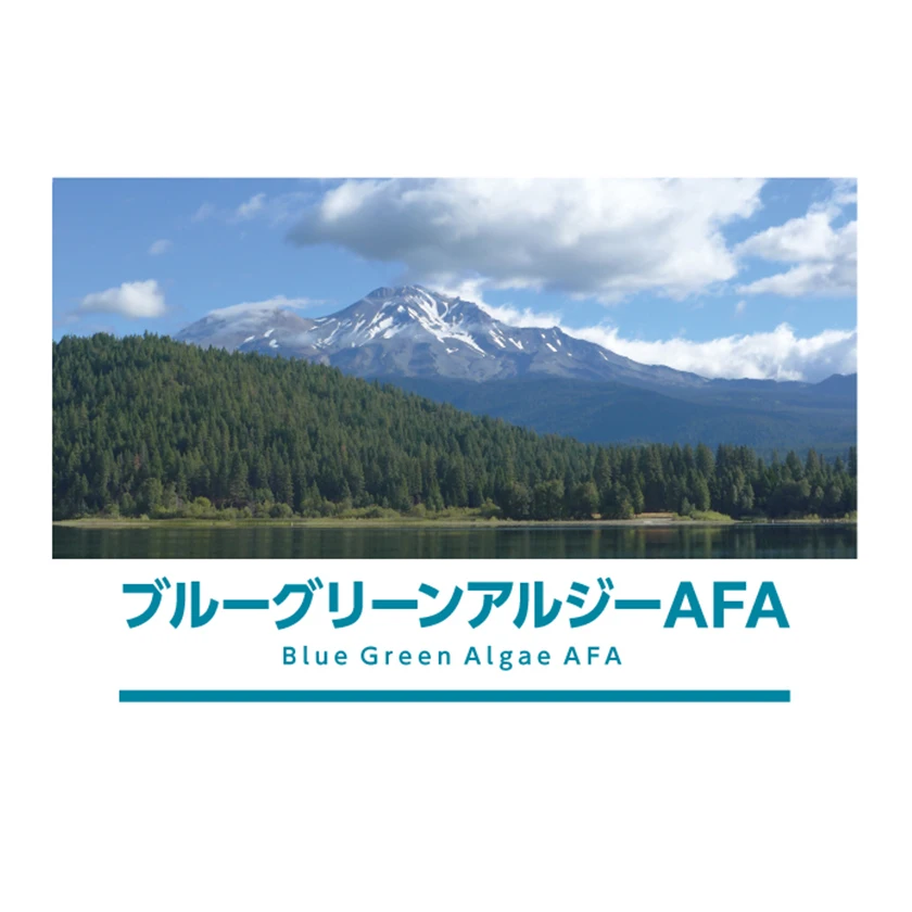 Contains vitamin mineral enzyme suplyment premium blue spirulina tablets