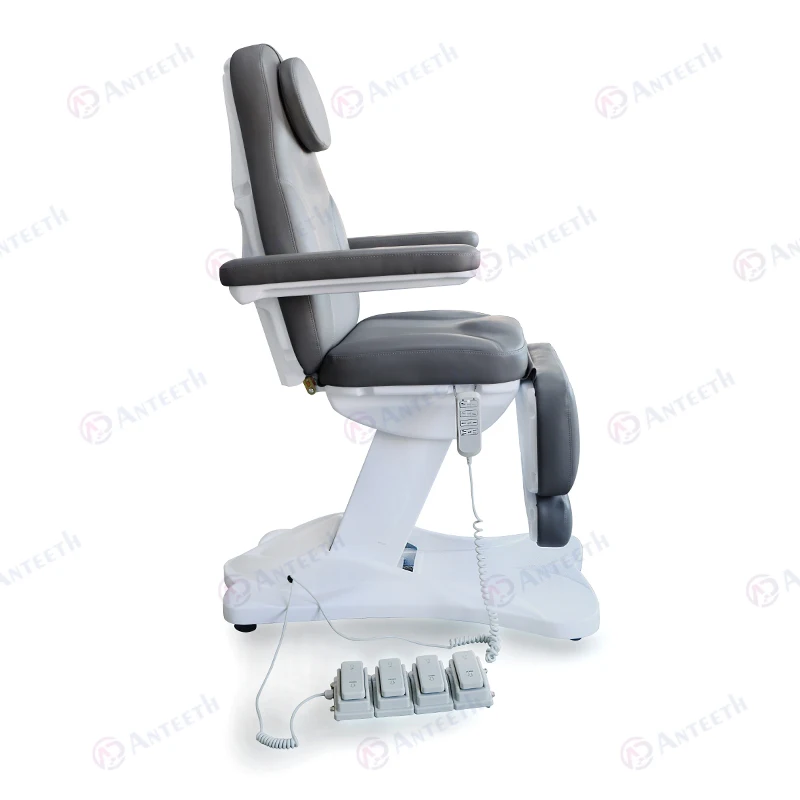 Anteeth Economy Model Electric Spa Aesthetic Treatment Facial Electric Beauty Chair Bed