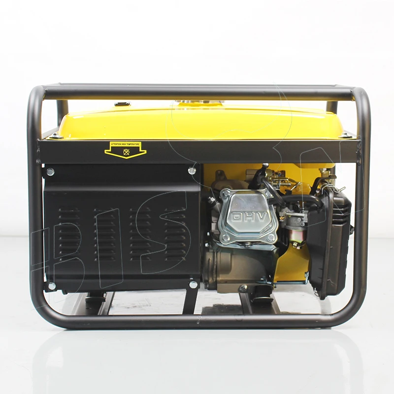 BISON CHINA 3000w Petrol Generator Air Cooled 220v 3 kw Gasoline Generator