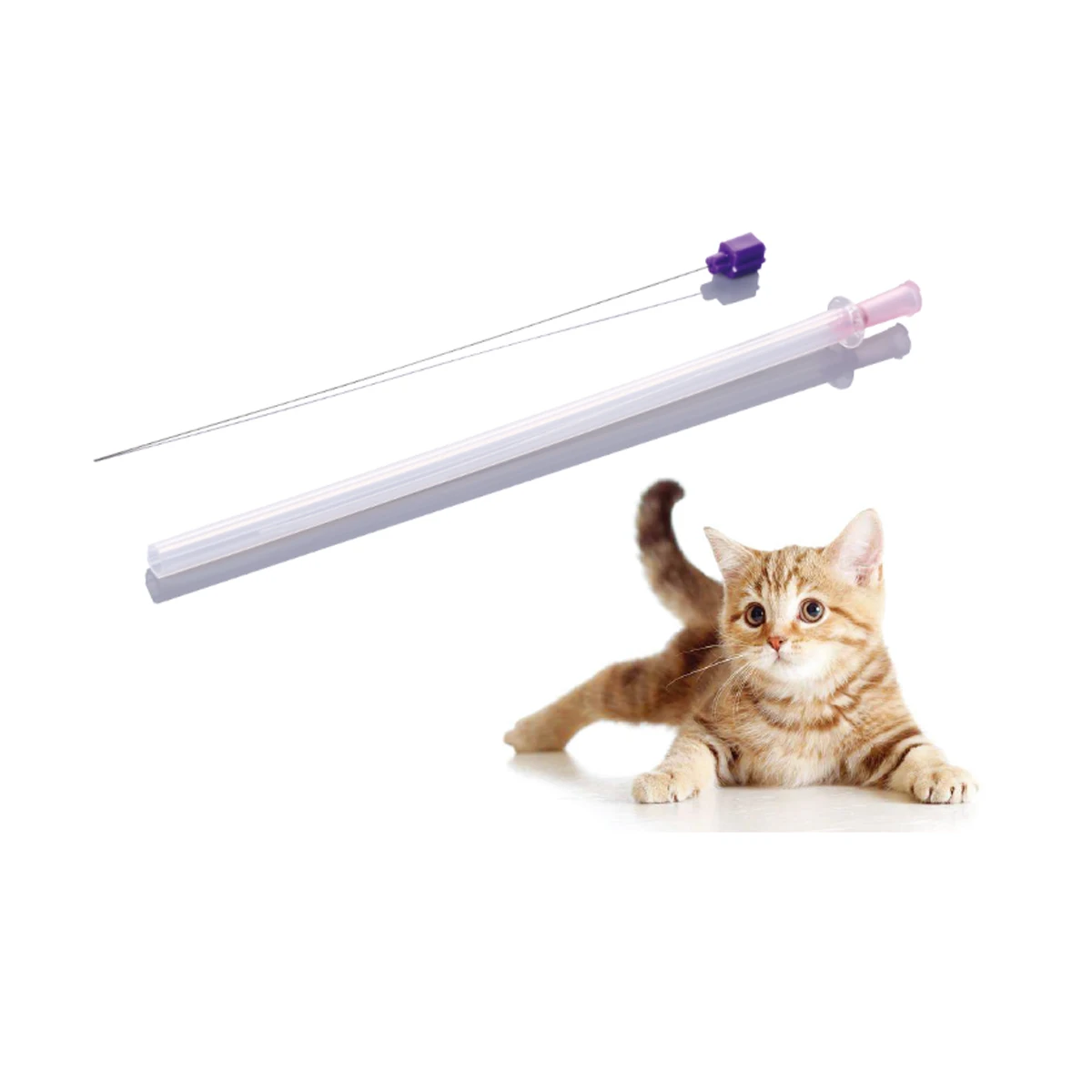animal urinary catheter feline veterinary urine catheters PVC pet dog cat veterinary urethral catheter with luer lock connector
