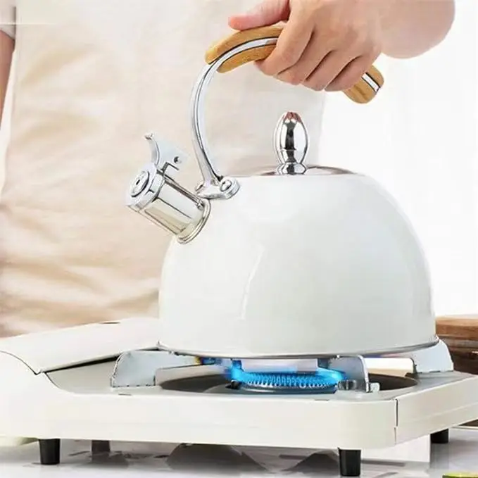 Kettle for Gas Stove Water Boil Stainless Steel Coffee Boil Teapot Stovetop Hot Water Kettle Whistling