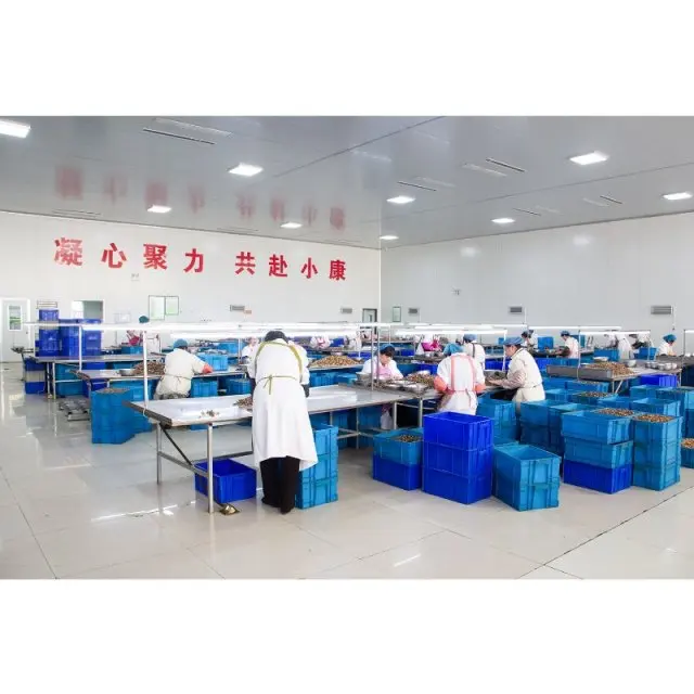 Wholesale Xinjiang Dried Raw 33 Walnut Nuts & Kernels Walnuts
