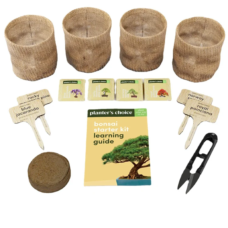 Unusual Christmas Gift Ideas Unique Diy Gardening Gifts Crafts Hobby Kits Tree Growing Garden Germinate Set Starter Kit Bonsai