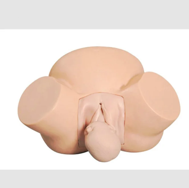 medical science Advanced Midwifery Training Model Medical Science Anatomical Model Hospital School