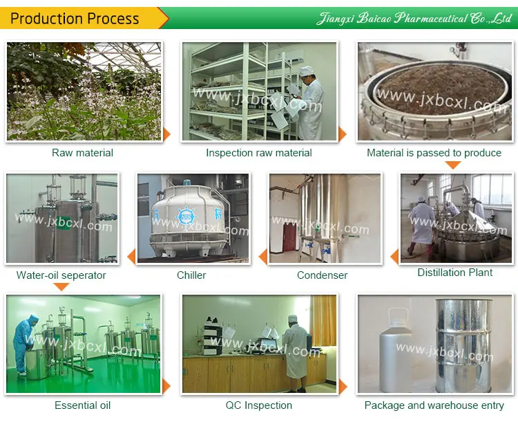 Pure Basil Oil Basilium Essential Oil Manufacturer Bulk Food Additive Essence Liquid