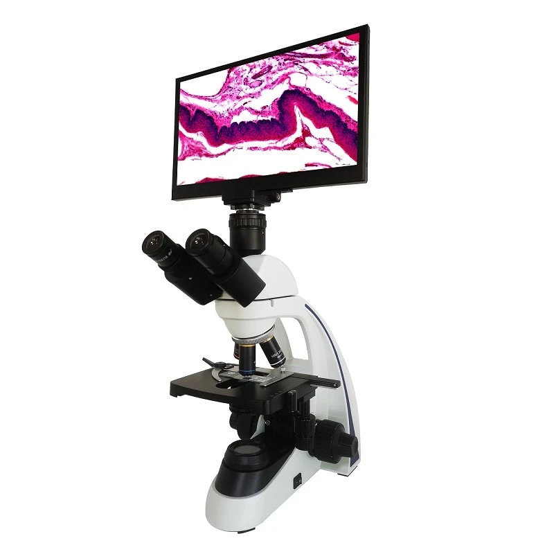 Wholesale High Quality Professional Manufacturers Biological Microscope