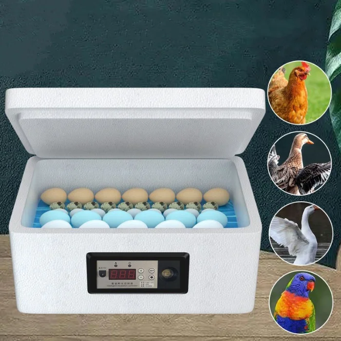 Small household incubator 16 chicken duck and goose egg incubator price