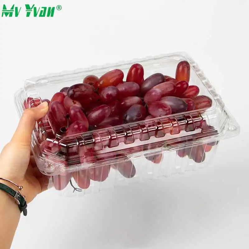 Clear Blister Pet Plastic Food Grade Clamshell Fresh Fruit and Vegetable Container