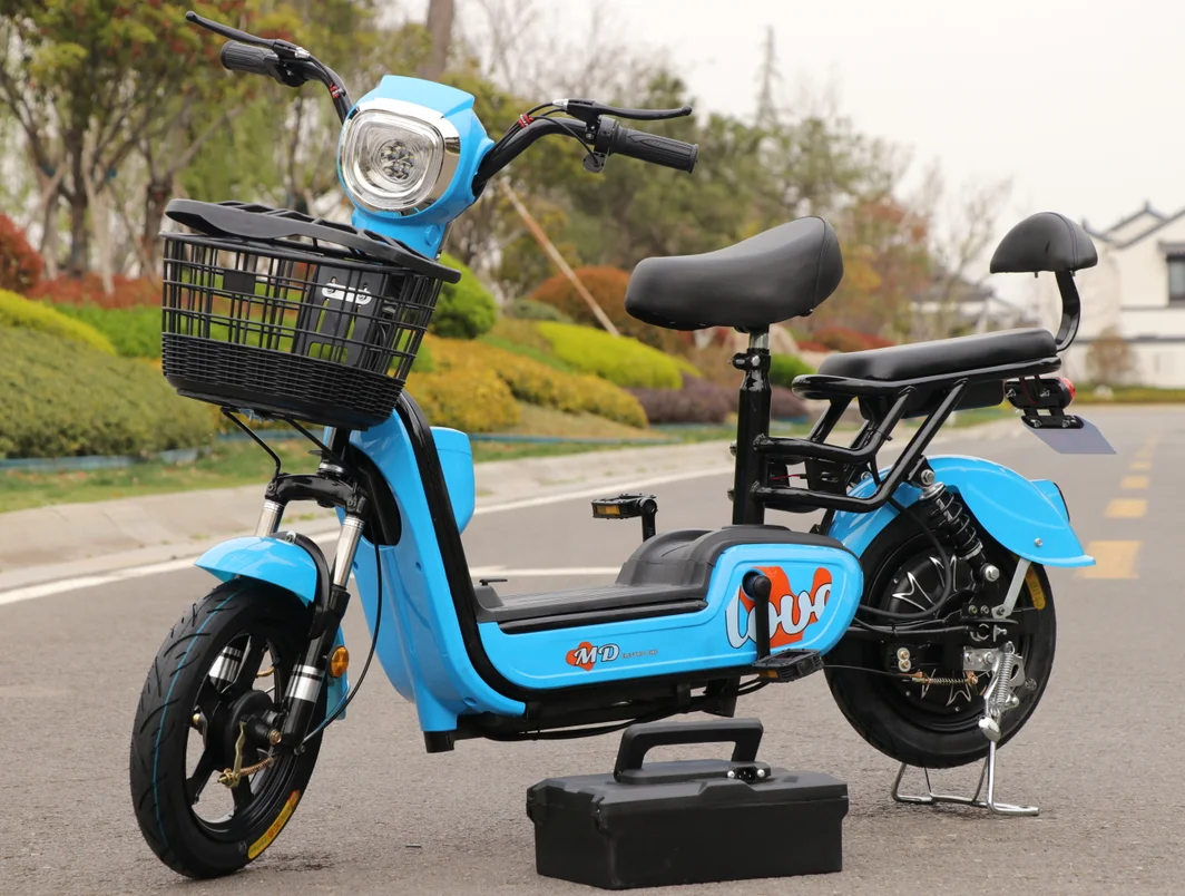 Popular 48V 14 Inch Two Person Seat Storage Battery E Bicycle Electric Bike With Carbon Steel