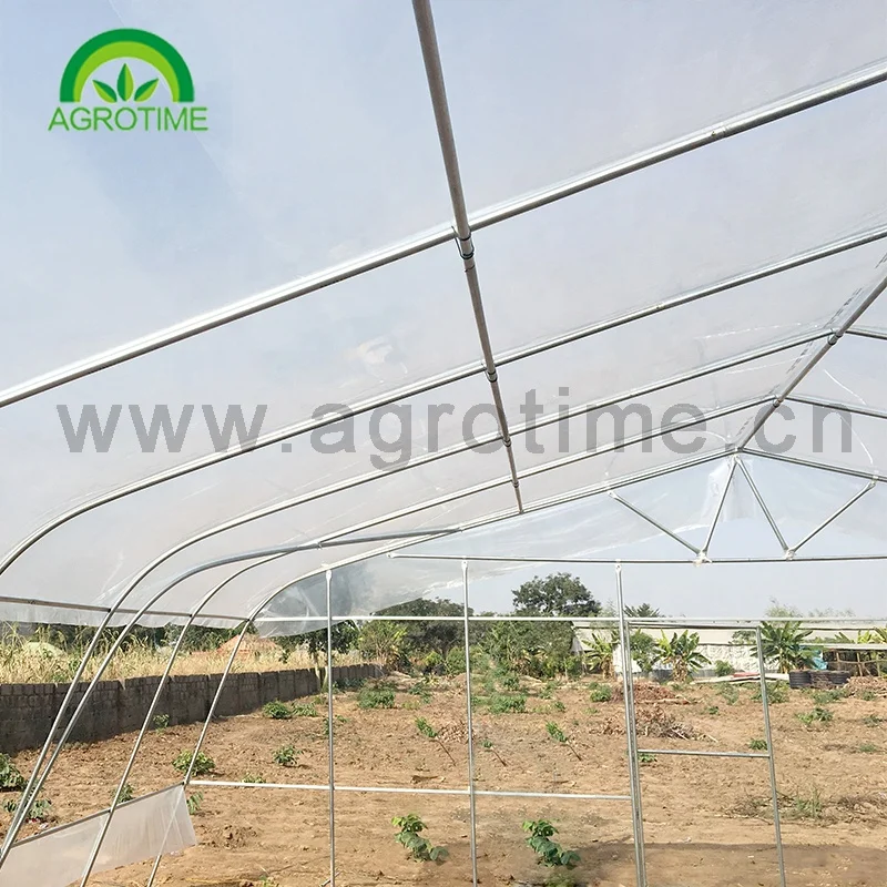 agriculture farming complete greenhouse grow Arch shape high tunnel green house for crops planting