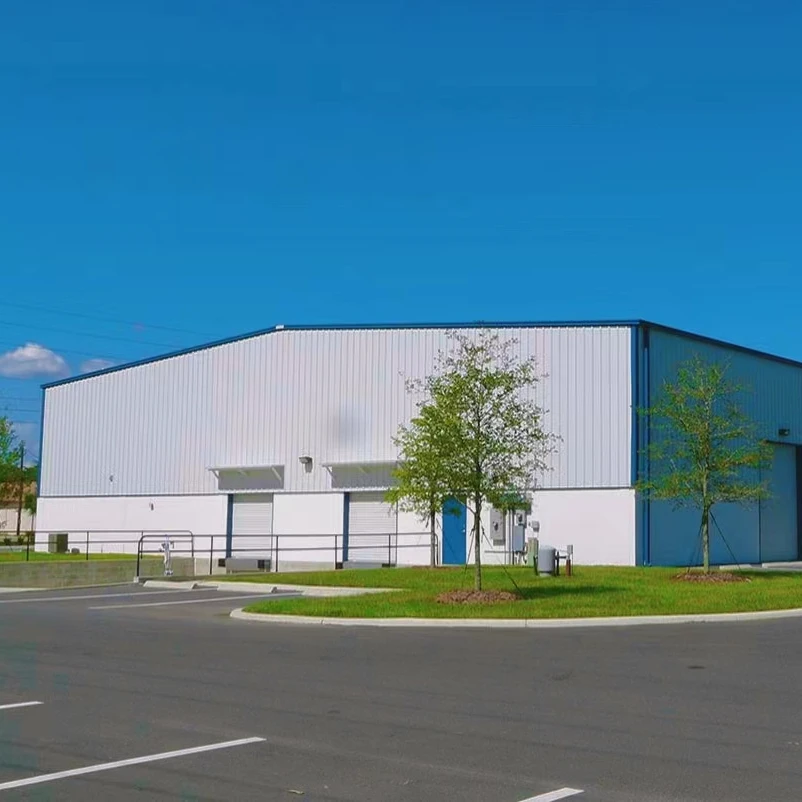 Metal steel structure Poultry farm building stockshed