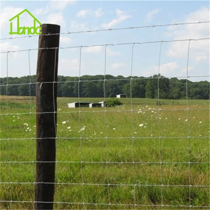 Supply1.5m*50m Farming Field Fence Farm Wire Fence Hot Sell in America/Europe