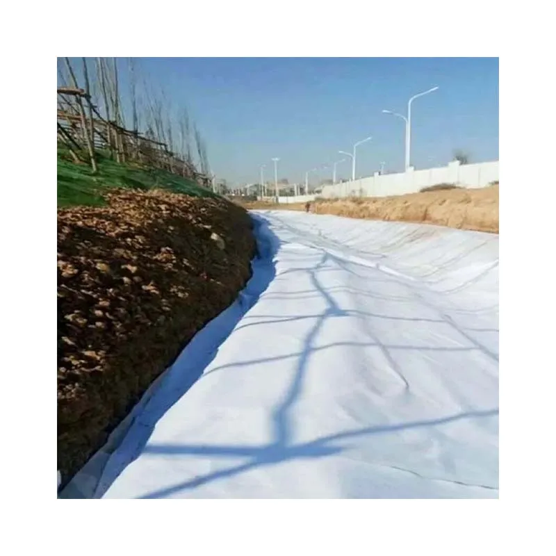 Factory Price HDPE Geomembrane 1mm 2mm Pond Liner/Dam Liner/Biodigester/Landfill Geomembranas High Quality Geotextiles for Sale