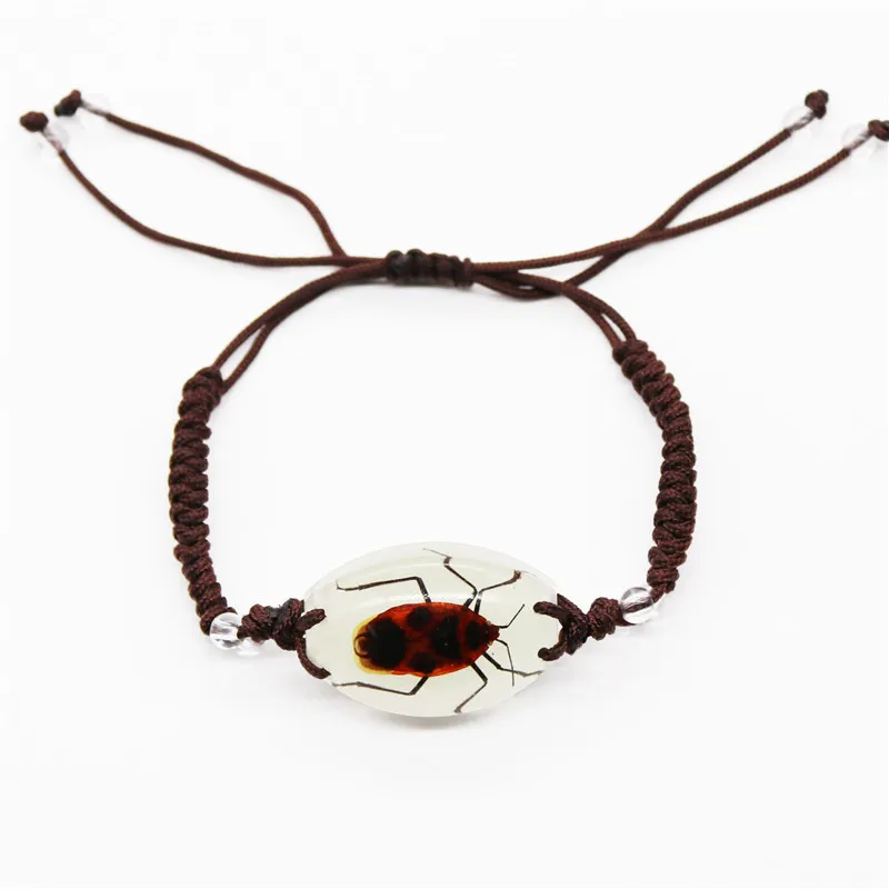 New Creative Insect Amber Knitted Bracelet Real Insect Scorpion Bracelet Insect Specimens Bracelet For Men