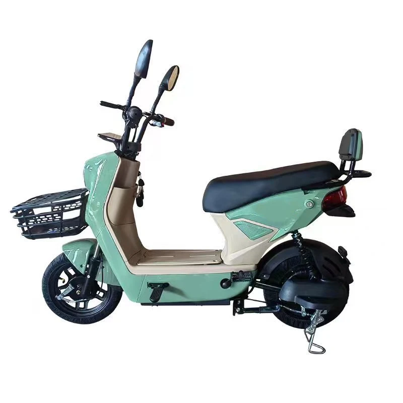 Paige 2024 New Style Model Electric Bicycle Adult 20Inch 1000W Rechargeable E-Bike Cycle Ideal