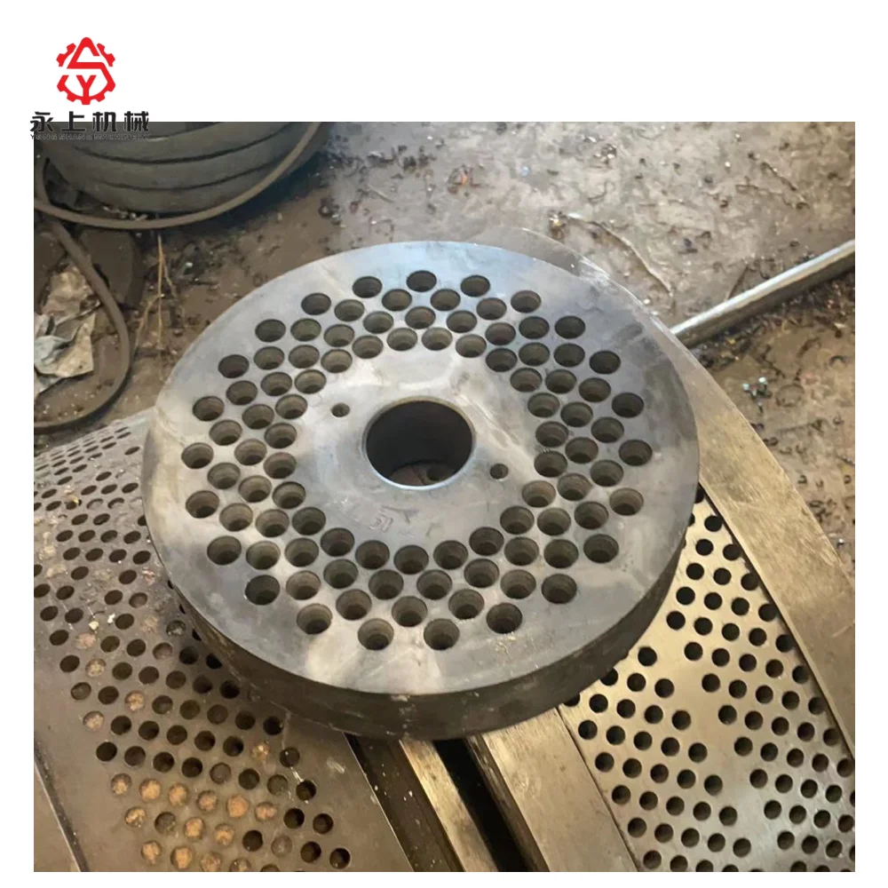 Hot Selling YS Series Production Equipment Flat Die Press Roll Small Pellet Machine