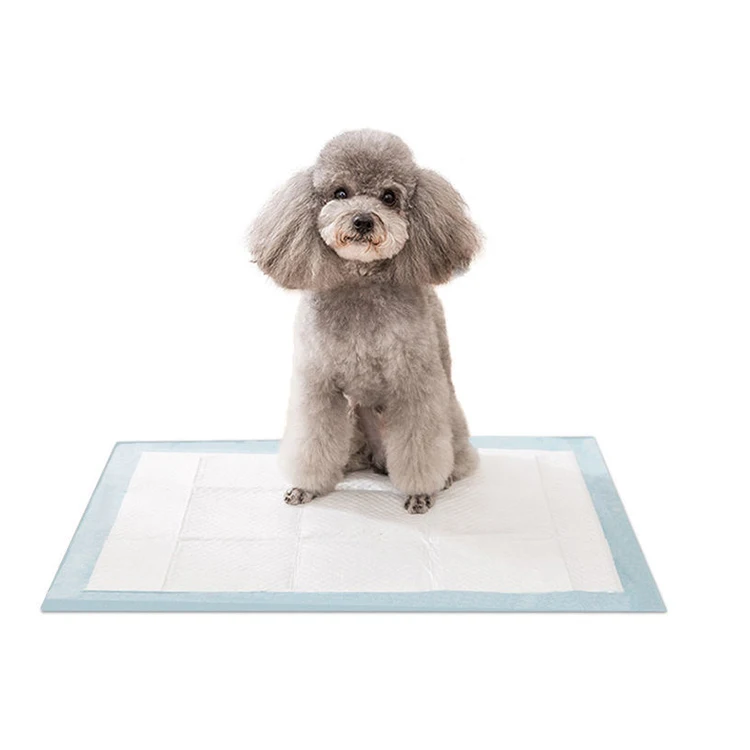 2024 Puppy Training Urine Wholesale Pet Diaper Pads Disposable Cat Bunny Underpad  Potty Dog Pee Pad for Pets Training