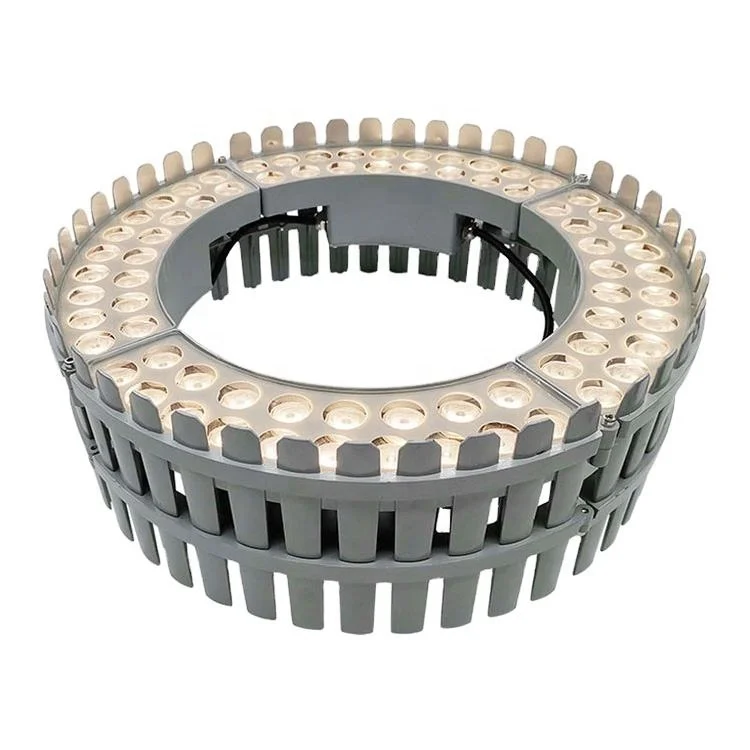 High Quality Scenery Landscaping RGBW Color Lighting Sidewalk Seashore Coconut Holding Palm Tree Hoop Flood Lights Hug Tree Lamp