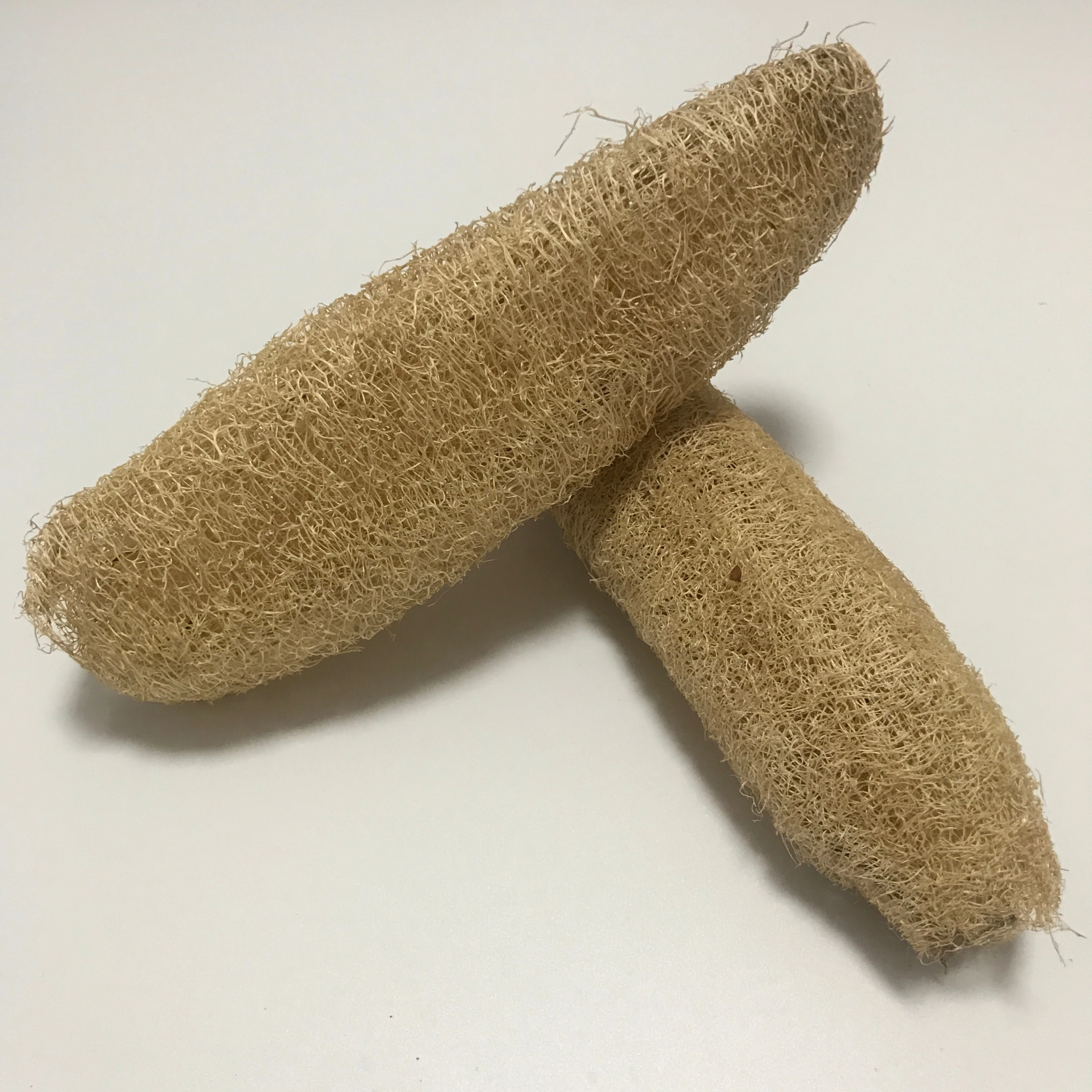 
CK005 Si gua luo Natural 20~25cm The whole loofah 