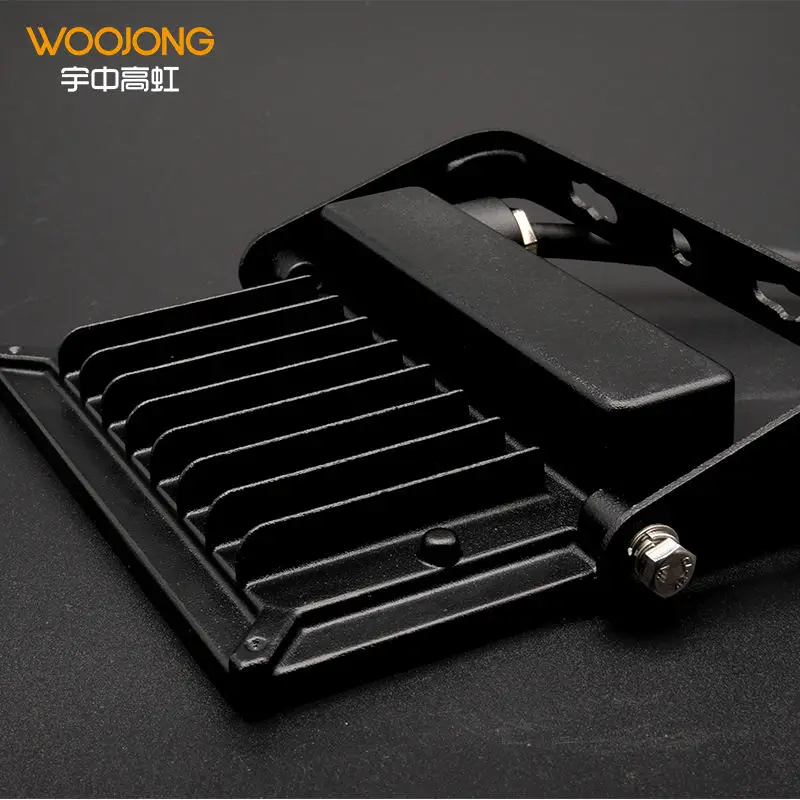 WOOJONG высококачественный светодиодный прожектор с IP66 водонепроницаемый используемый в спорте садовый 50/100 Ватт уличный светильник