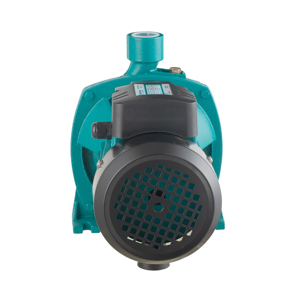 Agricultural AC 1Hp Inline Single Phase Centrifugal Water Pump